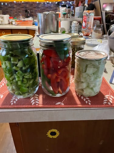 Vicki W. review of Mason Genie® Vacuum Sealer Kit image 1 out of 1