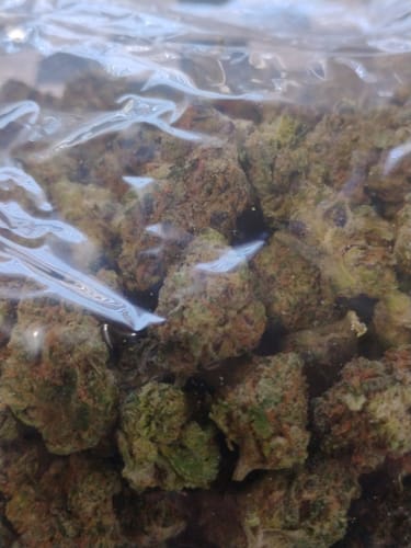 Customer photo review of Peanut Butter Cup - Bulk - Indica