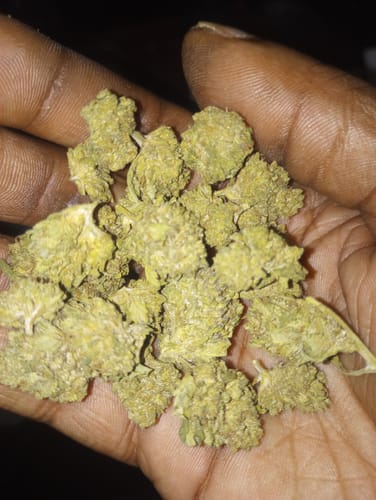 Customer photo review of Upside Down Runtz – Budget THCA (Smalls) (Seeded)
