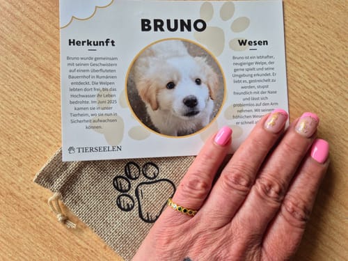 Customer photo review of Seelenfunkeln Ring