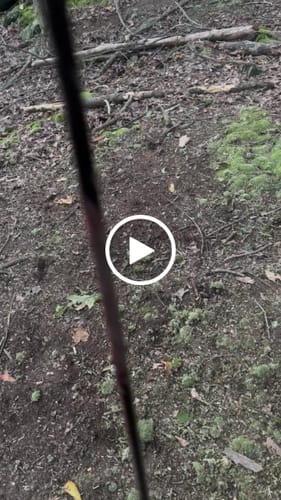 Customer video review of Aluminum Broadheads