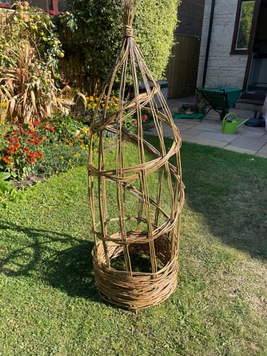 Customer photo review of The Willow Plant Support - Online Course and Kit