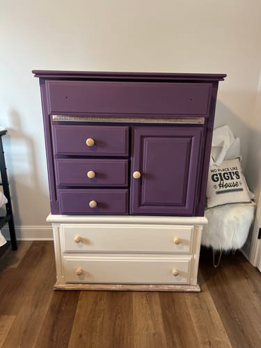 Customer photo review of One Step Paint - 16oz