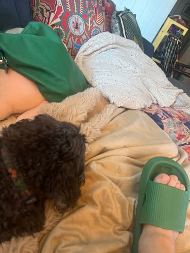 Customer photo review of Shipping Insurance