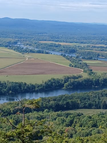 Customer photo review of 2025 Wallke H7 Step-Thru | 3200W Ebike 40/60Ah Battery