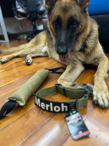 Peeradon review of TUG-N-TRAIN Tug Toy image 1 out of 1