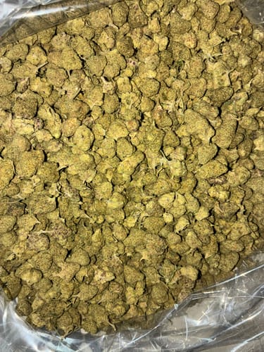 Customer photo review of Acupulco Gold - Bulk - Sativa
