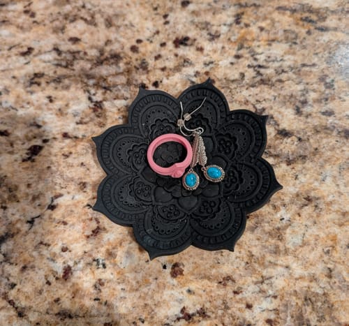 Richard M. review of Silicone Ring Dish image 1 out of 1