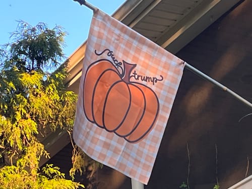 Customer photo review of F*ck Trump Autumn Pumpkin Garden Flag