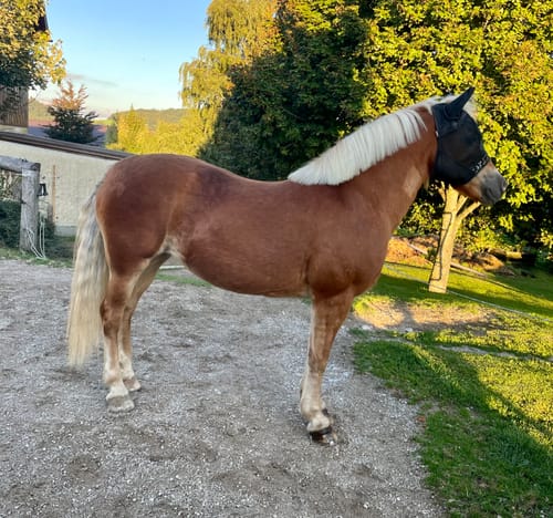 Customer photo review of Kristallkraft No2