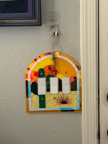 Customer photo review of Texas Sun Light Switch Cover