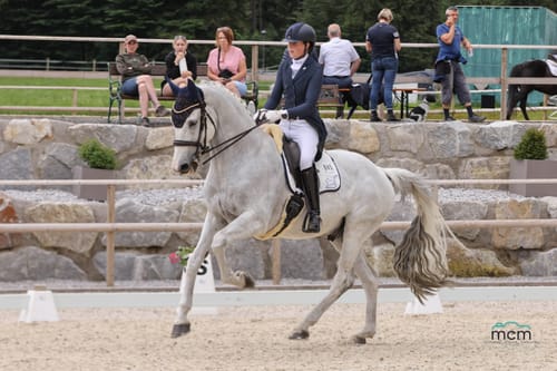 Customer photo review of Strotonin Horse Support