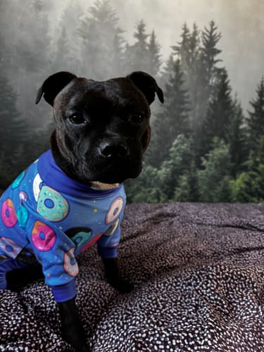 Customer photo review of Dog Pajama - Donuts