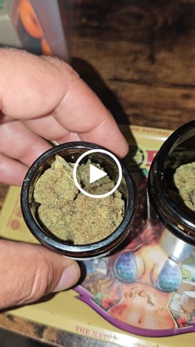 Patrick W. review of Montgomery Benz THC-A Blüten image 1 out of 1