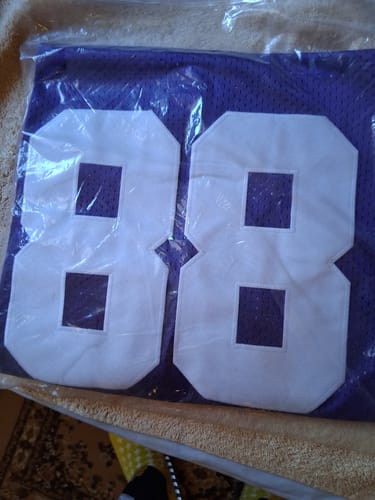 Customer photo review of Men's Minnesota Vikings Alan Page Mitchell & Ness Purple Legacy Replica Jersey1