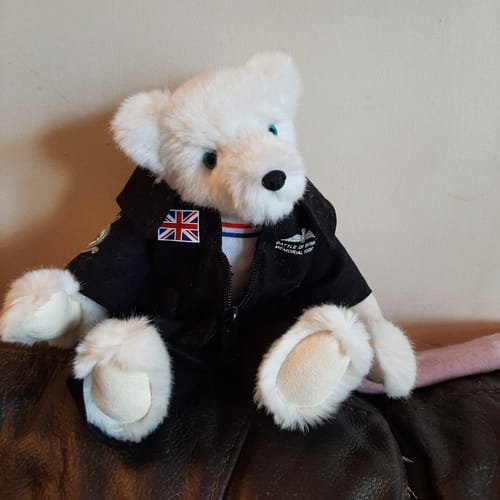 Customer photo review of BBMF Suit for 9in Bear
