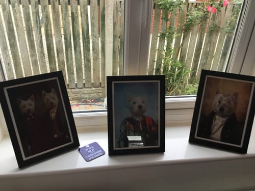Customer photo review of The Baron - Custom Vintage Pet Portrait