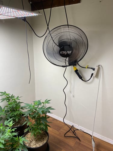 Customer photo review of Active Air 16" Heavy Duty Metal Wall Fan