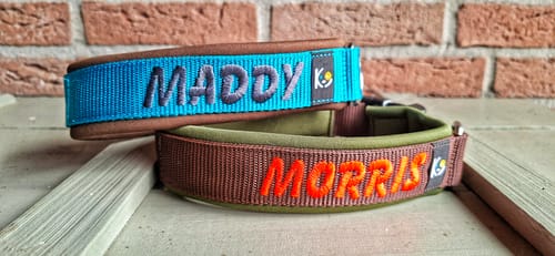 Customer photo review of Neoprene Dog Collar with Name - L | 4Kyon