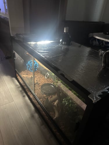 Customer photo review of BlackBox LED with Dimmer Switch - KIT