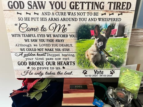 Customer photo review of Dog Memorial Personalized Canvas Prints - Custom Photo & Text - 5 Sizes - Dog Memorial Keepsake, God Saw You Getting Tired - Dem Canvas