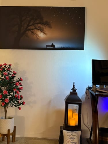 Customer photo review of Modern Nature Scenery Wall Art