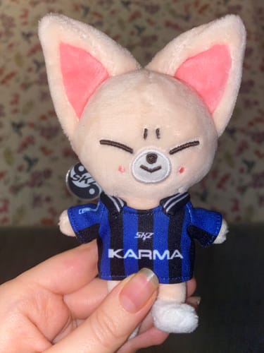 Customer photo review of STRAY KIDS - KARMA 4TH ALBUM FANS GIFT SKZOO VER