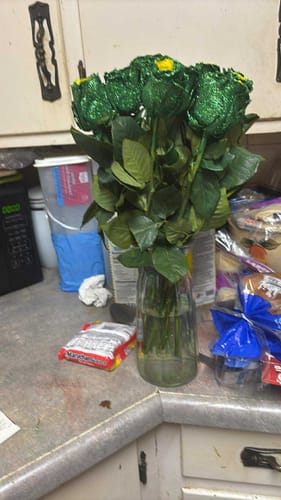 Customer photo review of Shiny Shamrock