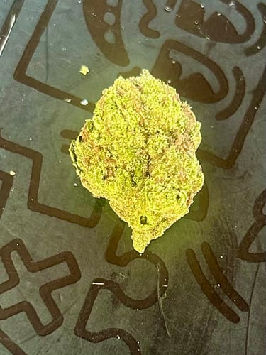 Customer photo review of Shipping Protection by Route