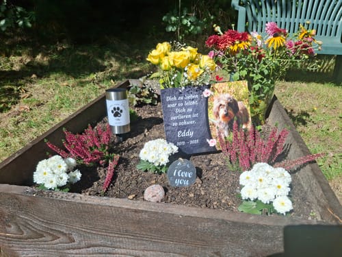 Customer photo review of Hunde Gedenktafel mit Foto & Spruch (UV- & Wetterfest)