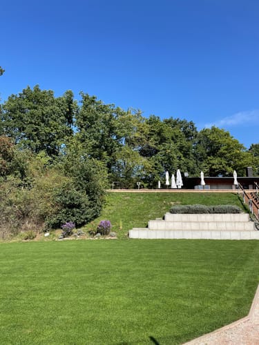 Customer photo review of Animatio® Profi-Rasendünger