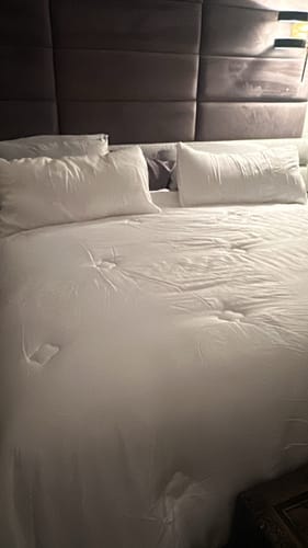 Customer photo review of The FLORÉ Over Sized Summer Cooling Comforter Set