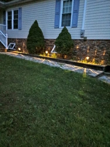 Customer photo review of 2x Blisso Advanced Cat Probiotic | Cat Probiotic for Diarrhea & Kidney Support