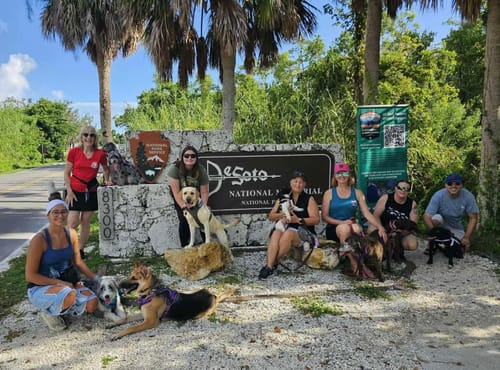 Customer photo review of WagWellies® Mojave