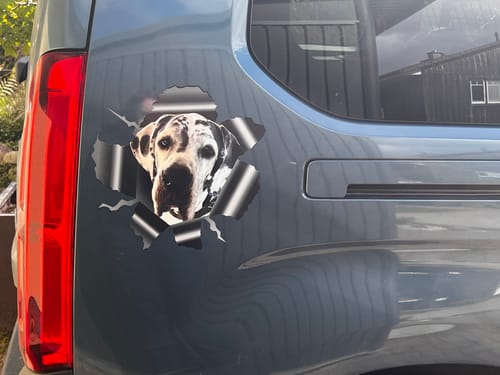 Customer photo review of Spähendes Foto - Individueller Autoaufkleber