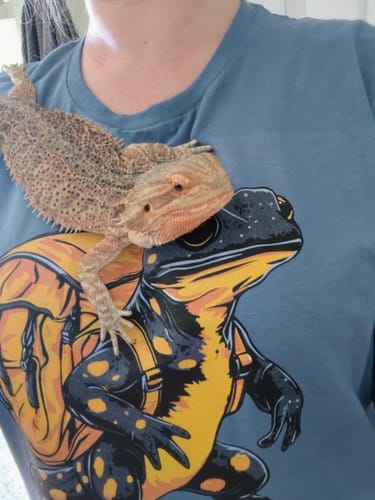 Customer photo review of Yellow Spotted Gecko Backpacker T-Shirt