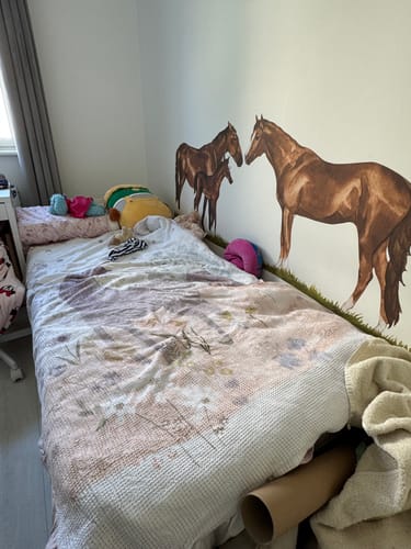 Customer photo review of Horse Family