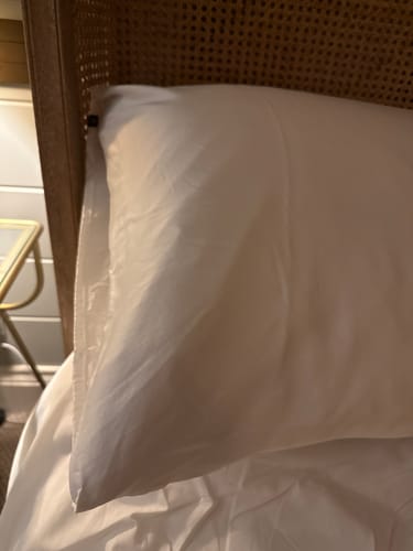 Customer photo review of Ivory Pure Silk Pillowcase