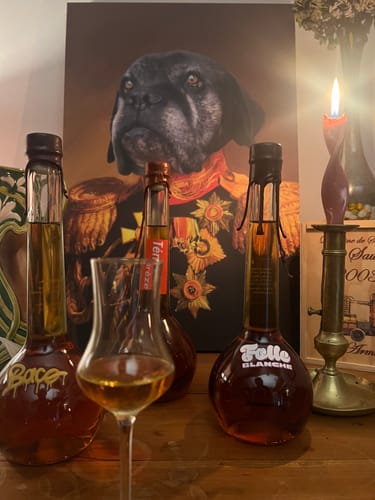 Customer photo review of BAKO22A (2011-2025) 705 Bouteilles - Bas-Armagnac en Biodynamie