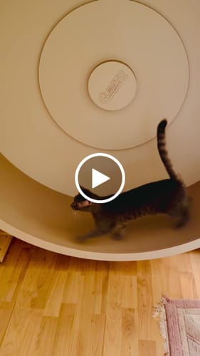 Hannah H. review of Elmato 4er-Set Gummipads für Laufräder – Geräuschdämpfung & Stabilität! image 1 out of 1