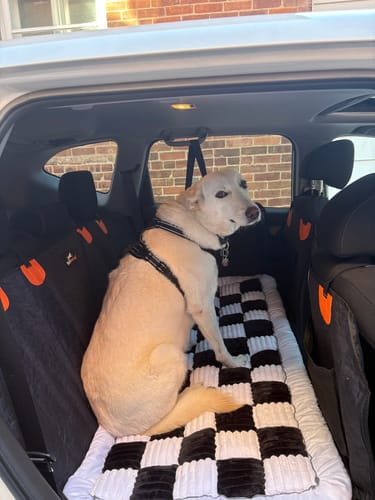 Customer photo review of RuffRover 2.0™ - Hard Bottom Back Seat Extender + (FREE Dog Bed)
