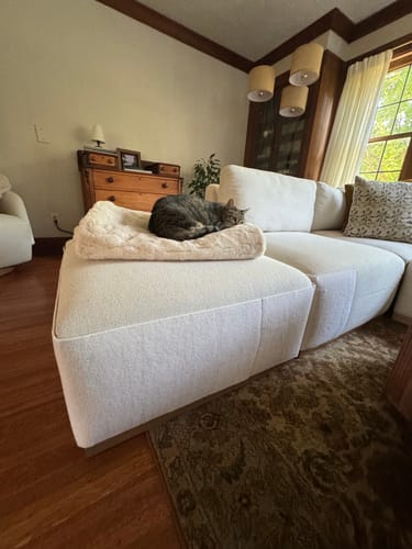 Customer photo review of Multifunctional Cat Scratching Carpet