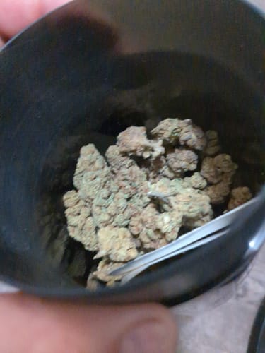 Customer photo review of Cheap THCA Flower Ounce