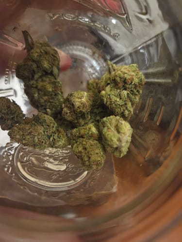 Customer photo review of Gas Face - Bulk - (Indica)