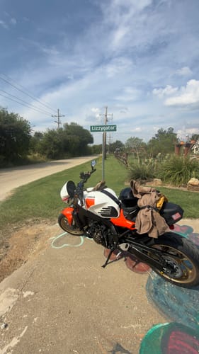 Customer photo review of The Brumby