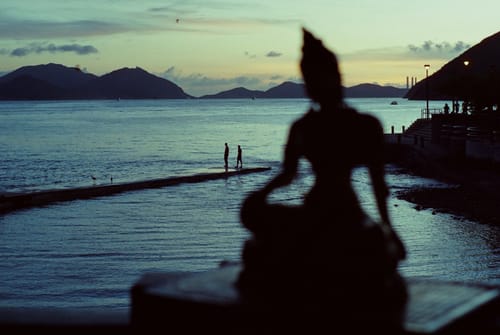 Customer photo review of Reflx Lab 200T Tungsten 35mm Colour Negative Film (C-41)