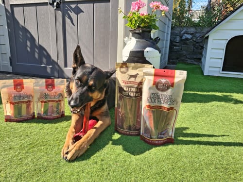 Customer photo review of Himalayan Yak Chew Flavor Pack