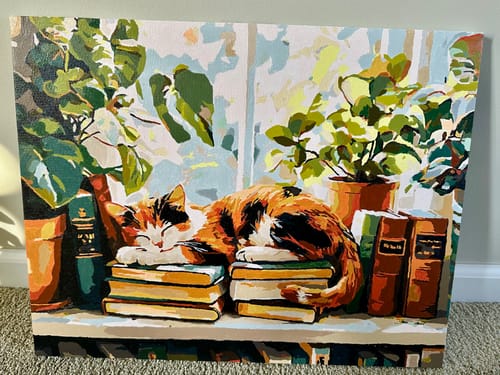 Customer photo review of Window Whiskers