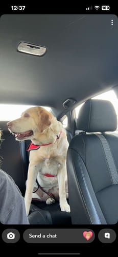 Customer photo review of Freedom Joint Drops