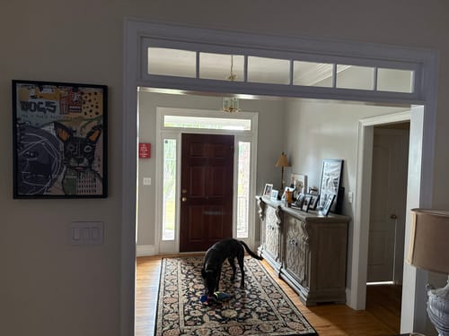 Customer photo review of A Man's Best Friend